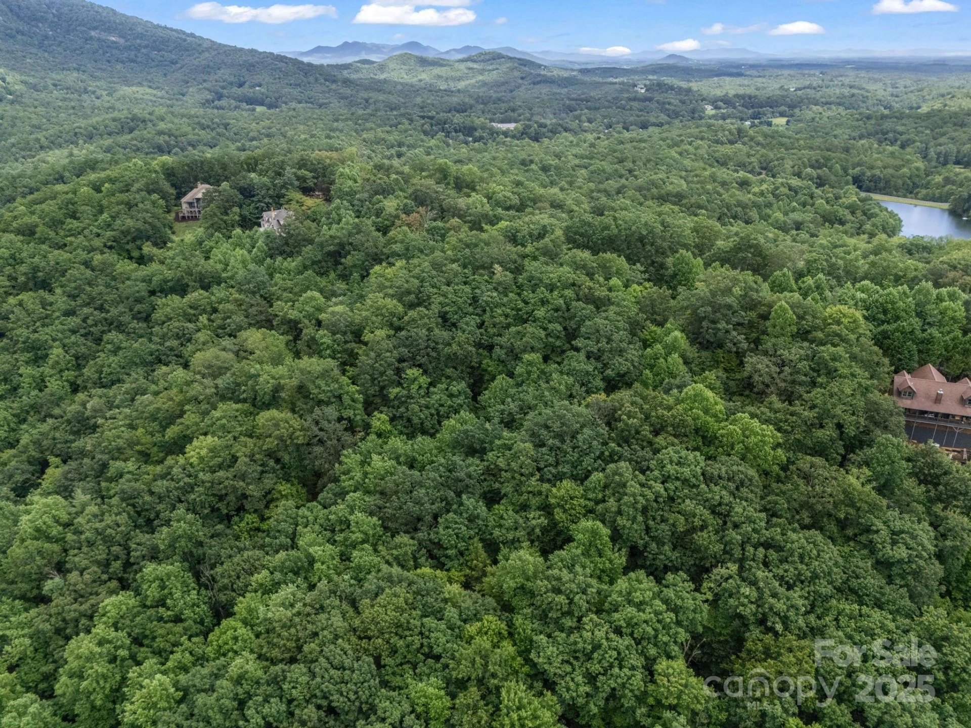 Lot 42 Hawks Nest Trail - Photo 16