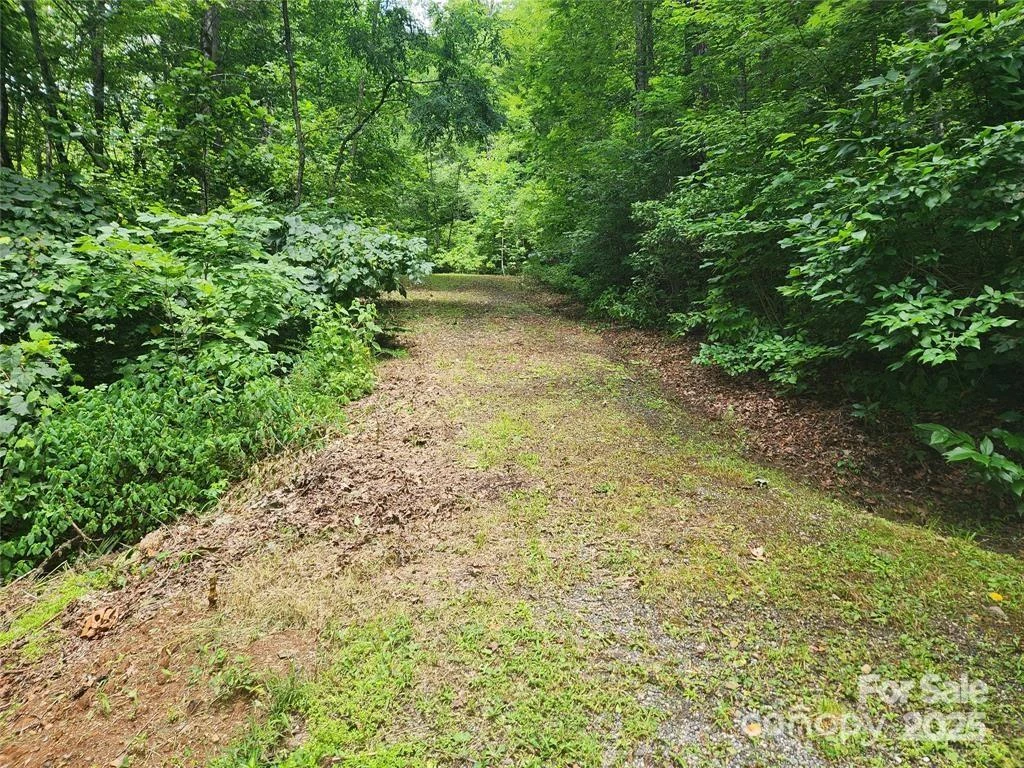 9 Red Leafe Trail - Photo 2