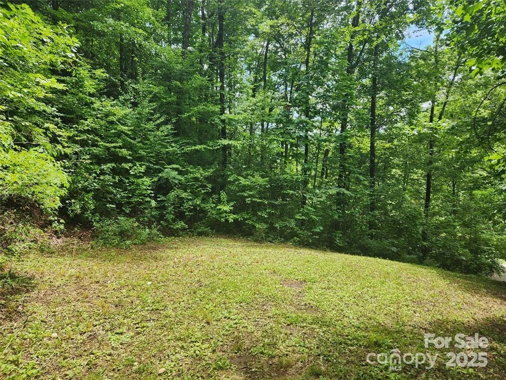 9 Red Leafe Trail - Photo 3