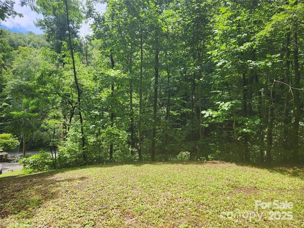 9 Red Leafe Trail - Photo 4