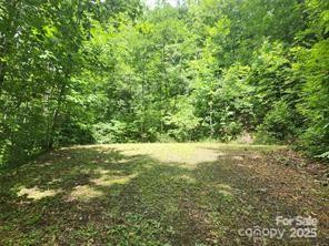 9 Red Leafe Trail - Photo 5