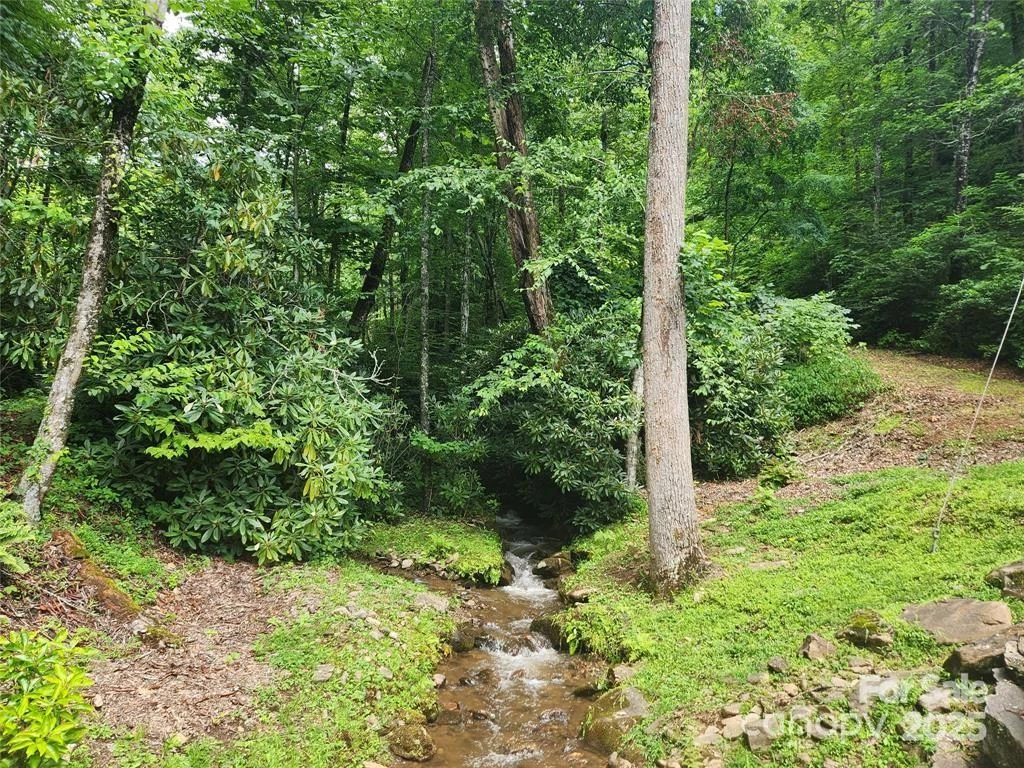 9 Red Leafe Trail - Photo 6