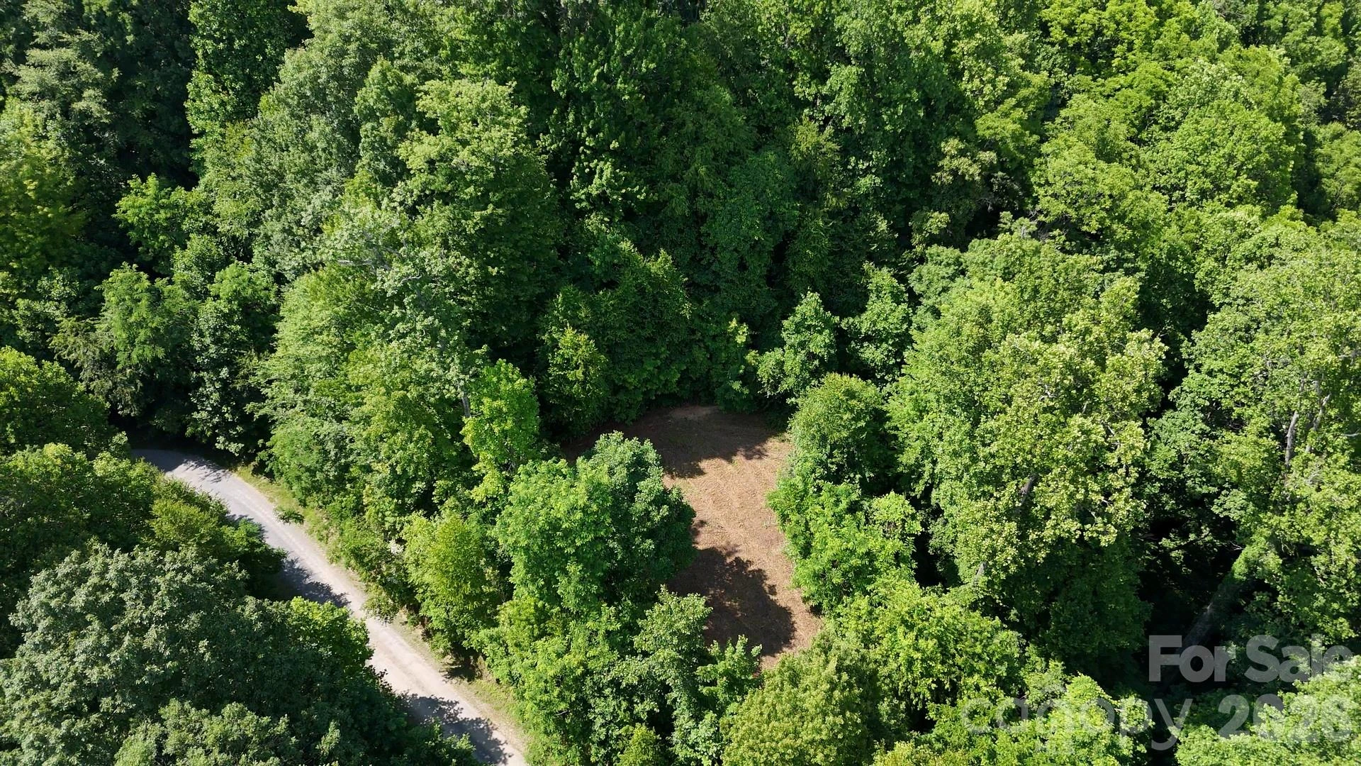 Lot 23 Asa Trail - Photo 2