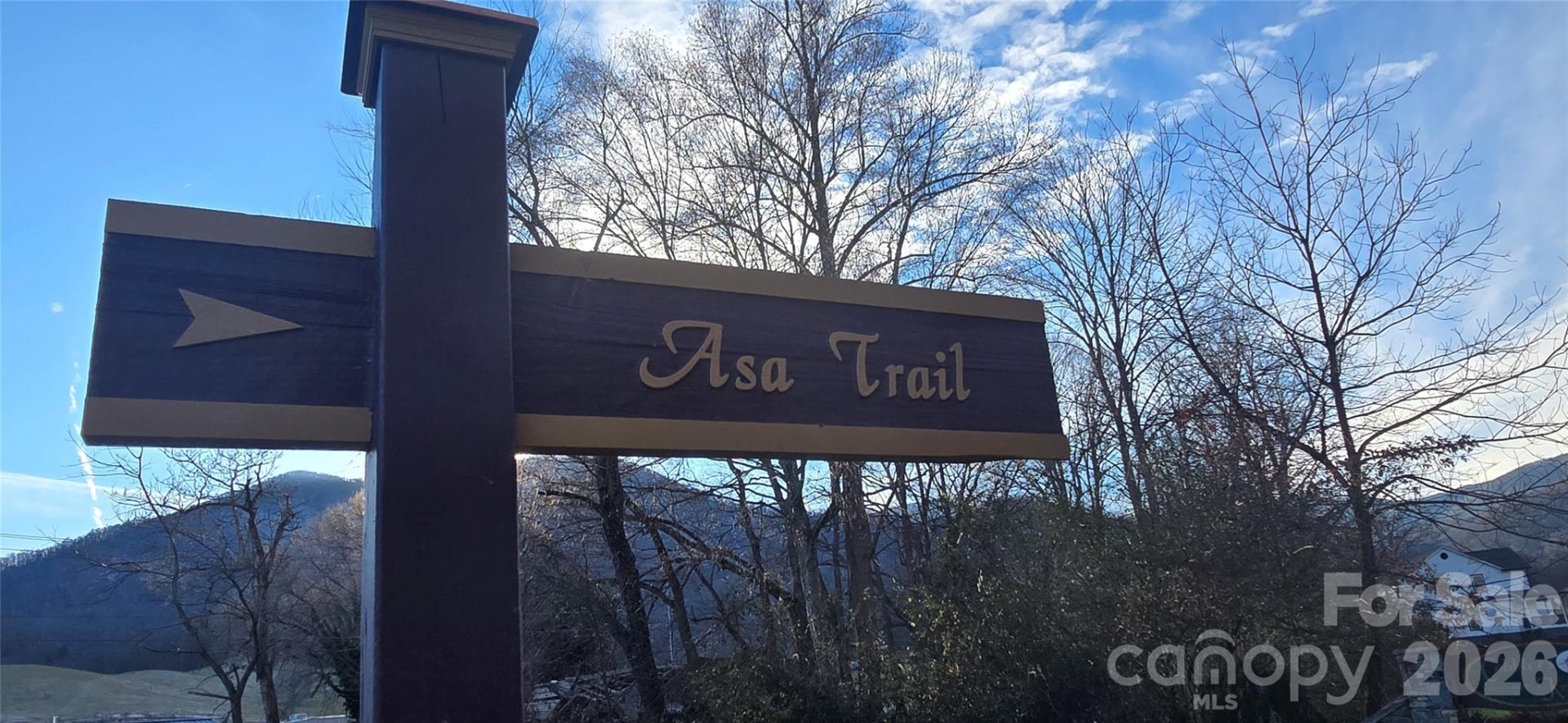 Lot 23 Asa Trail - Photo 11