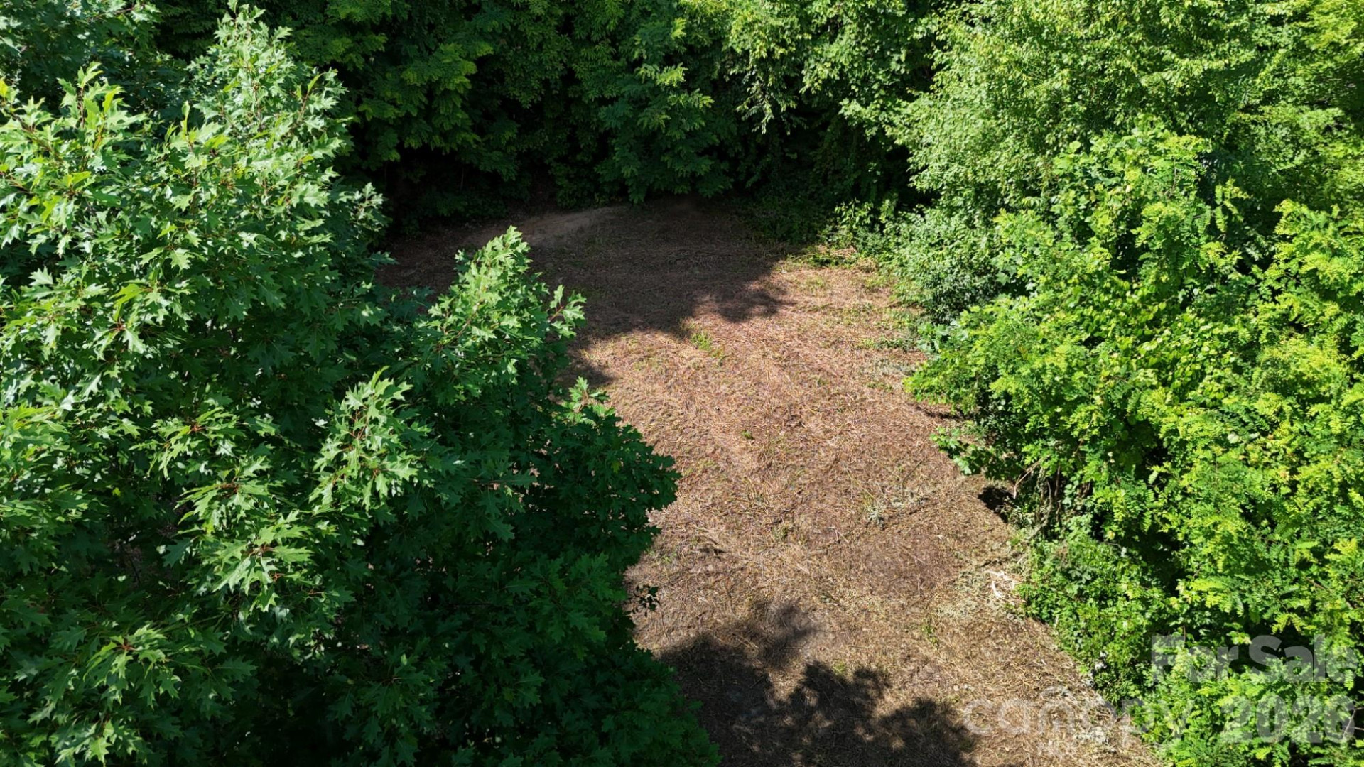 Lot 23 Asa Trail - Photo 3