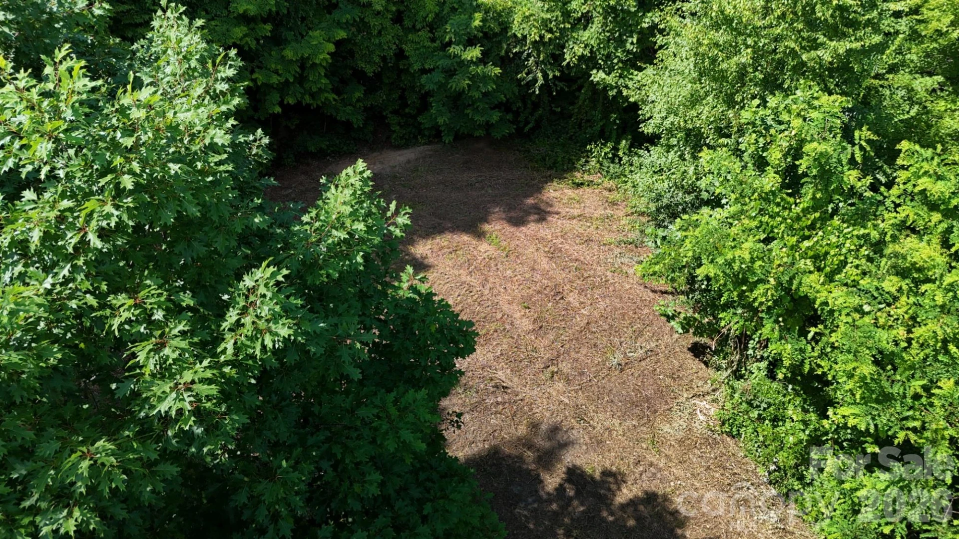 Lot 23 Asa Trail - Photo 3