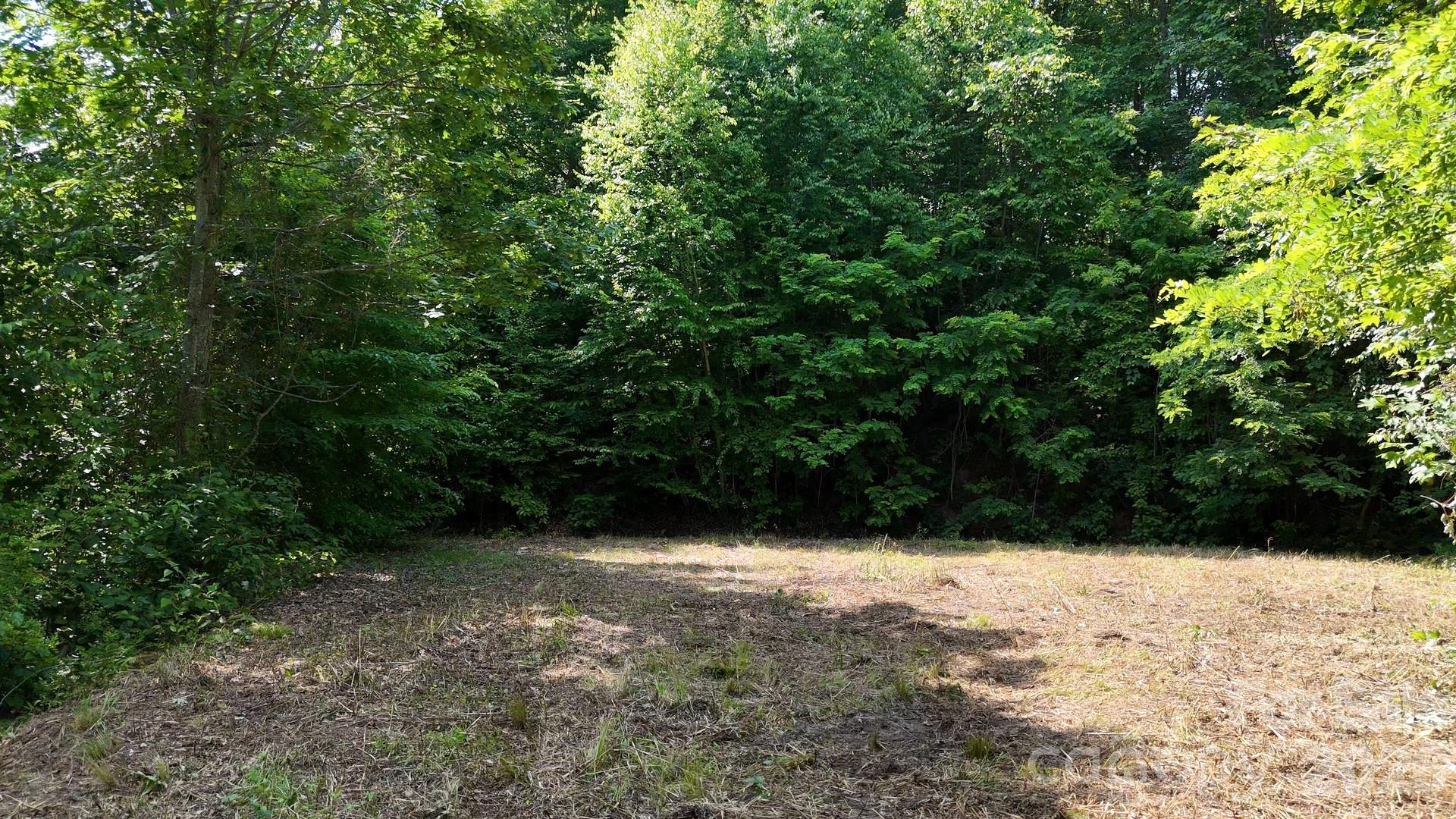 Lot 23 Asa Trail - Photo 6