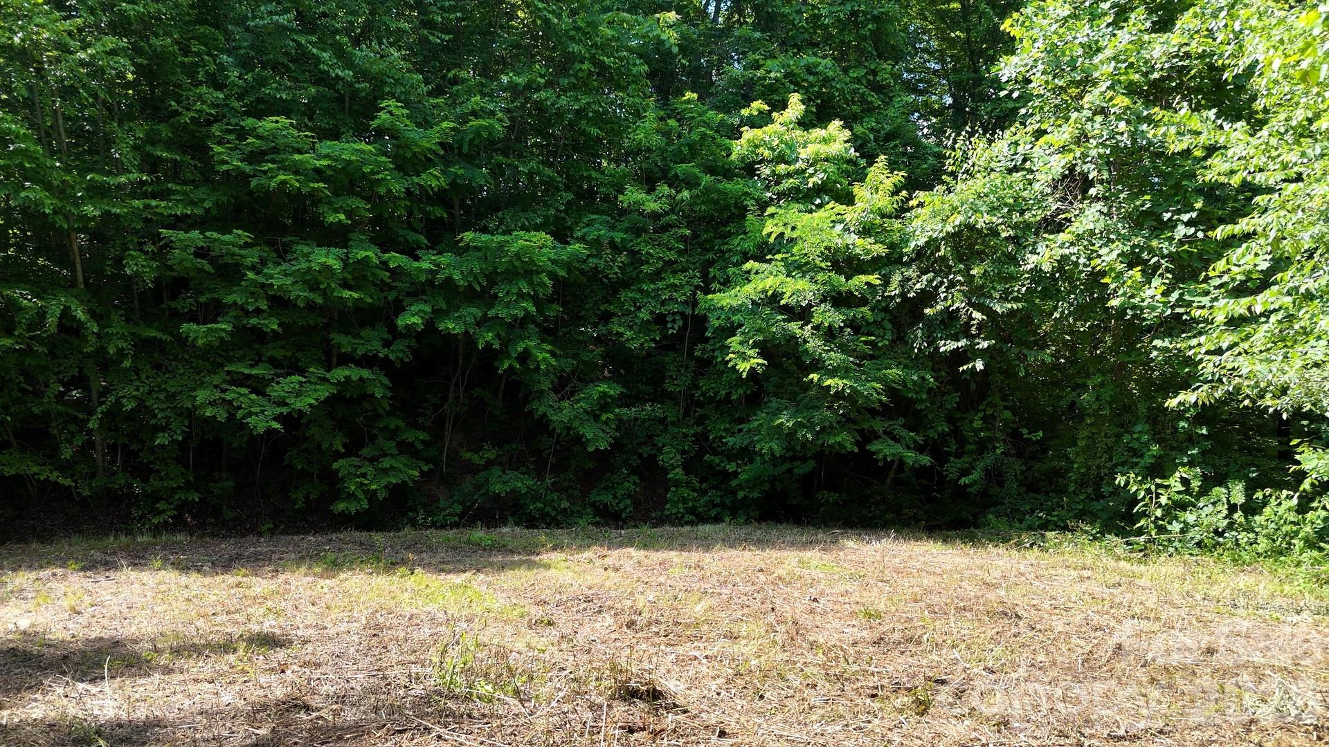 Lot 23 Asa Trail - Photo 7