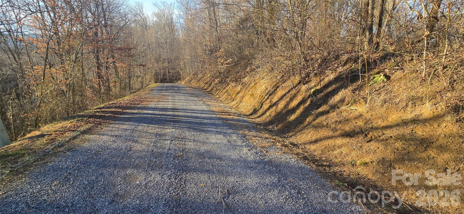 Lot 23 Asa Trail - Photo 9