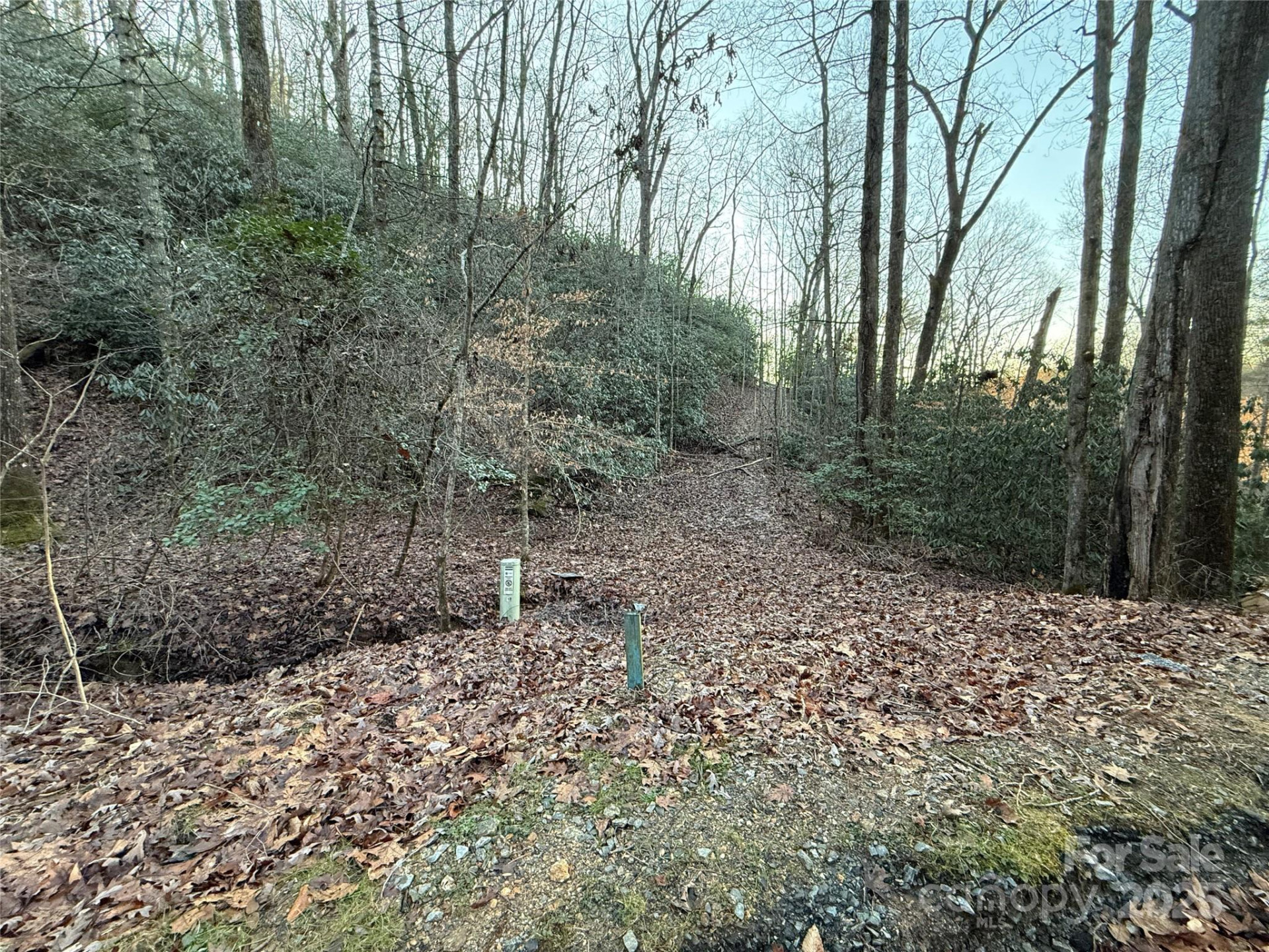 5538 Spring Road #1 - Photo 2