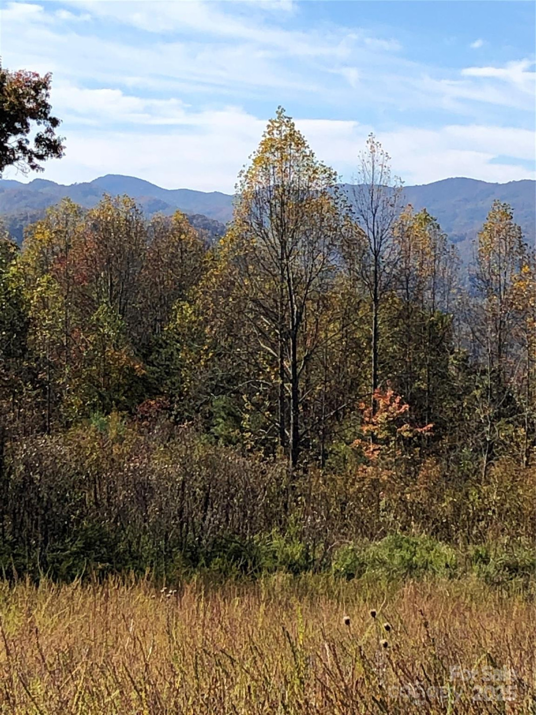 255 Clearview Lane #12 - Photo 2