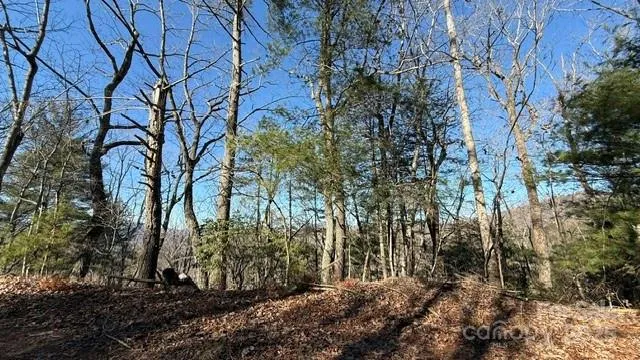 0 Bird Dog Boulevard, Lake Lure, NC, 28746