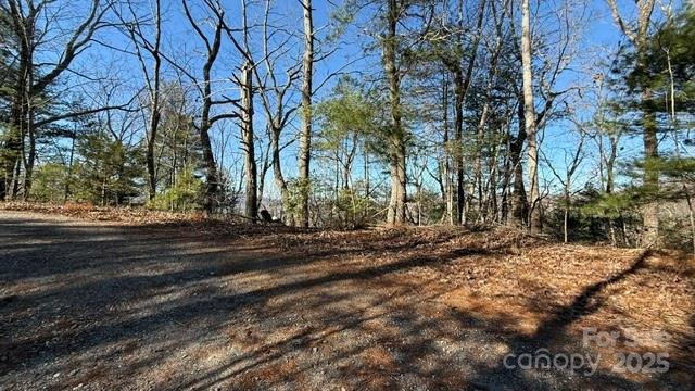 0 Bird Dog Boulevard - Photo 2