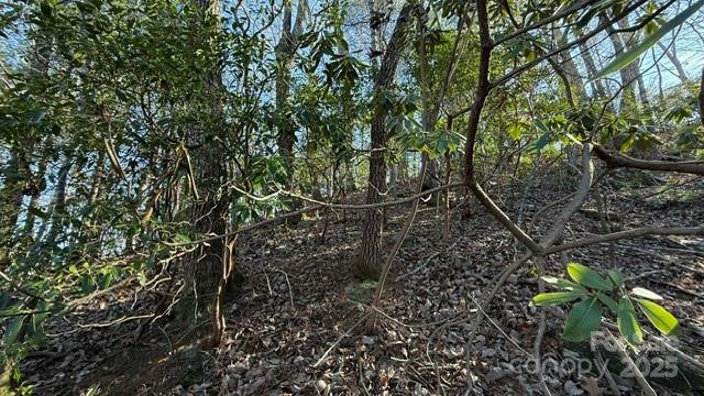 0 Bird Dog Boulevard - Photo 11