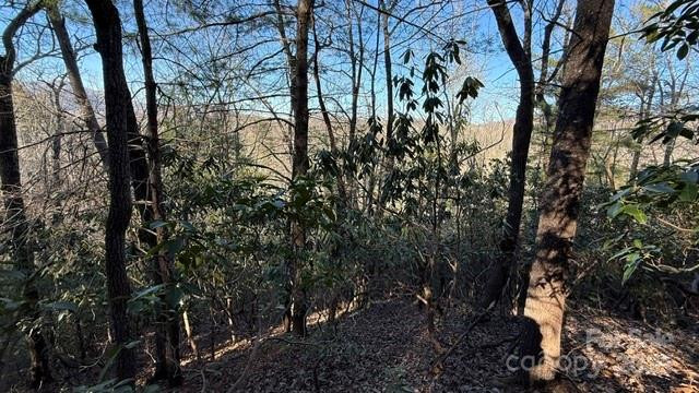 0 Bird Dog Boulevard - Photo 12