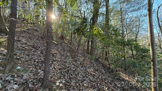 0 Bird Dog Boulevard - Photo 14