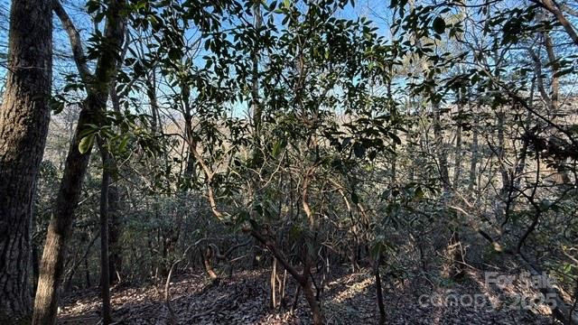 0 Bird Dog Boulevard - Photo 15