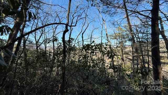 0 Bird Dog Boulevard - Photo 16