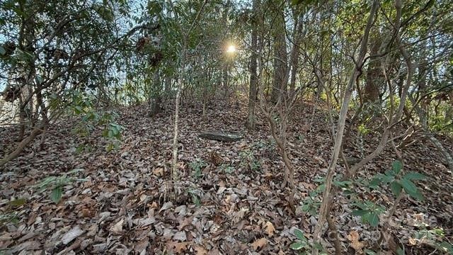 0 Bird Dog Boulevard - Photo 17