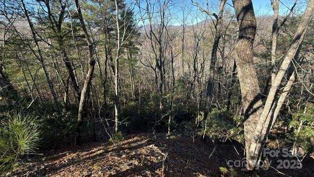 0 Bird Dog Boulevard - Photo 19