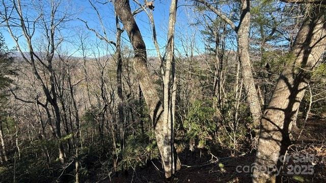 0 Bird Dog Boulevard - Photo 20