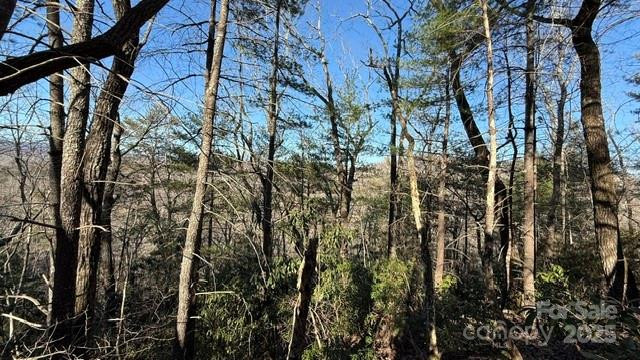 0 Bird Dog Boulevard - Photo 3