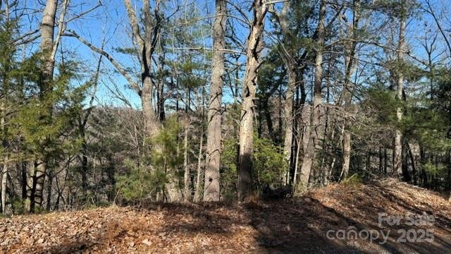 0 Bird Dog Boulevard - Photo 22