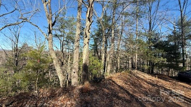 0 Bird Dog Boulevard - Photo 23