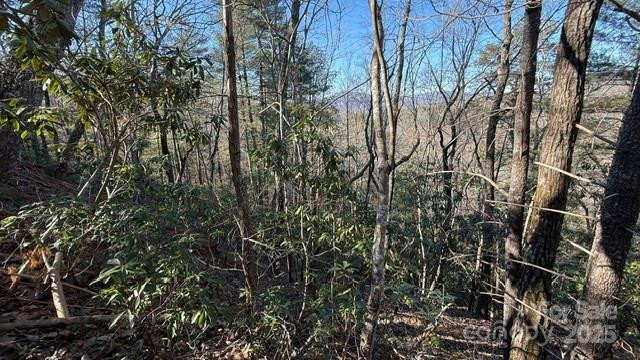 0 Bird Dog Boulevard - Photo 4