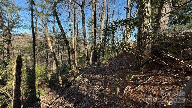 0 Bird Dog Boulevard - Photo 5