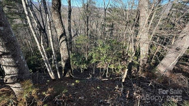 0 Bird Dog Boulevard - Photo 6