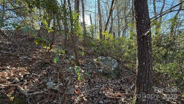 0 Bird Dog Boulevard - Photo 7