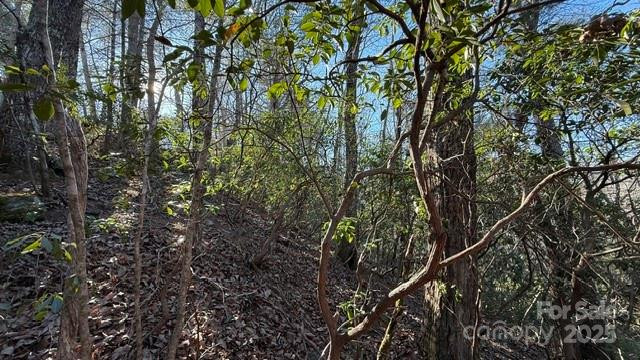 0 Bird Dog Boulevard - Photo 8