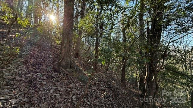 0 Bird Dog Boulevard - Photo 9