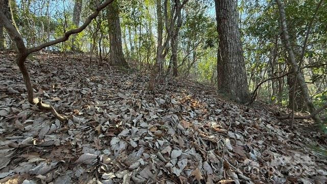 0 Bird Dog Boulevard - Photo 10