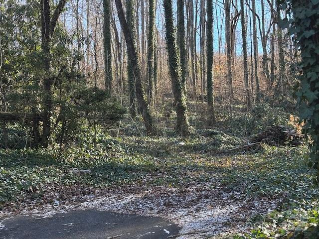 0 Savannah Drive - Photo 2