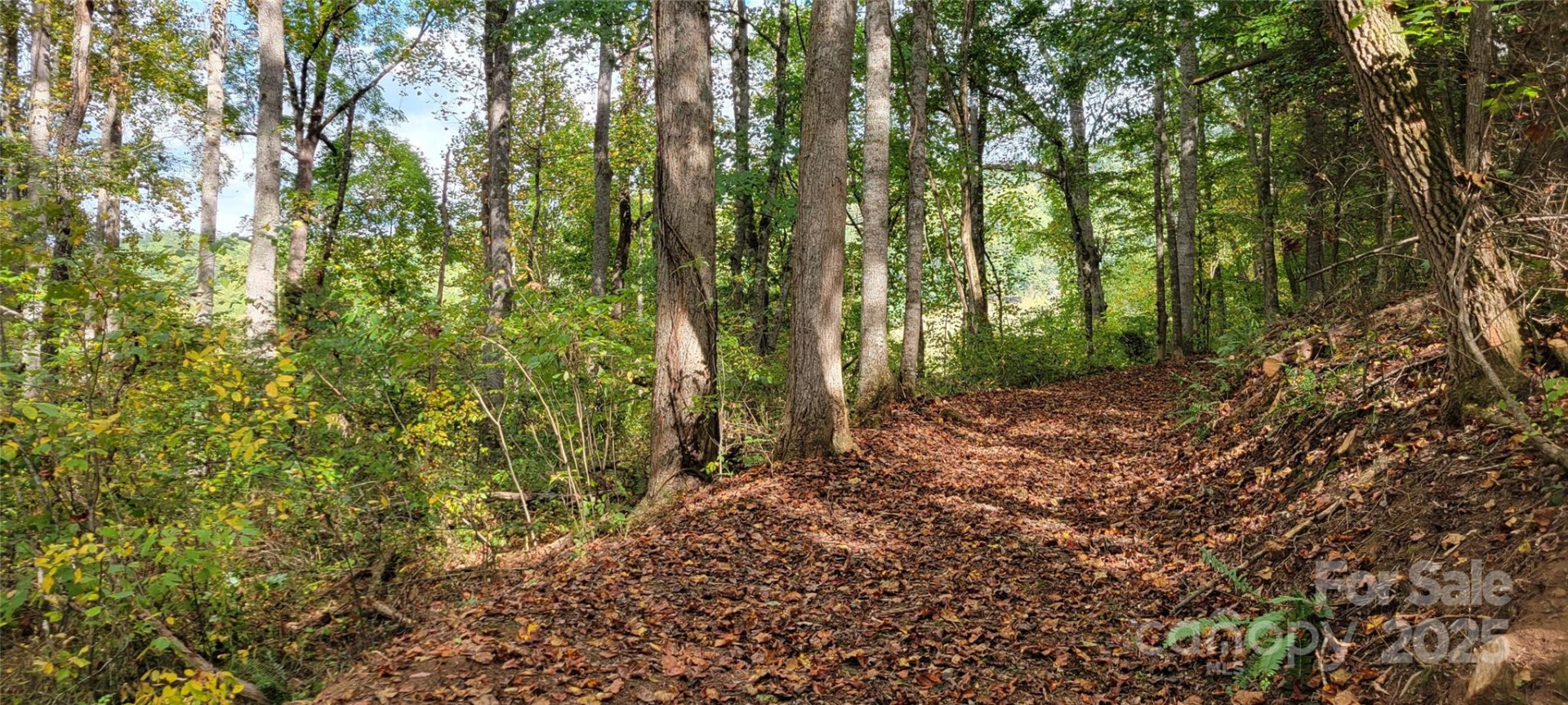 43 Dodder Lane - Photo 3