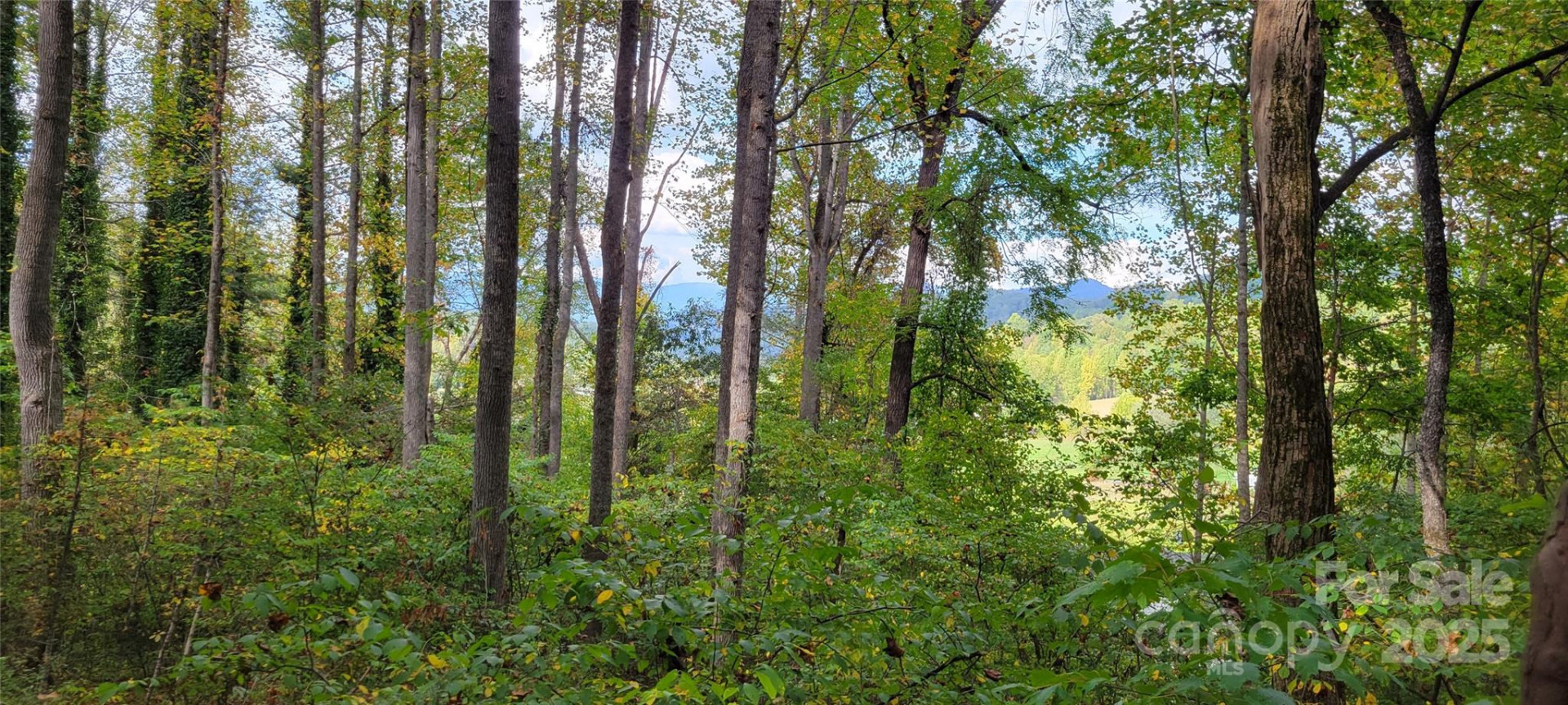 43 Dodder Lane - Photo 4