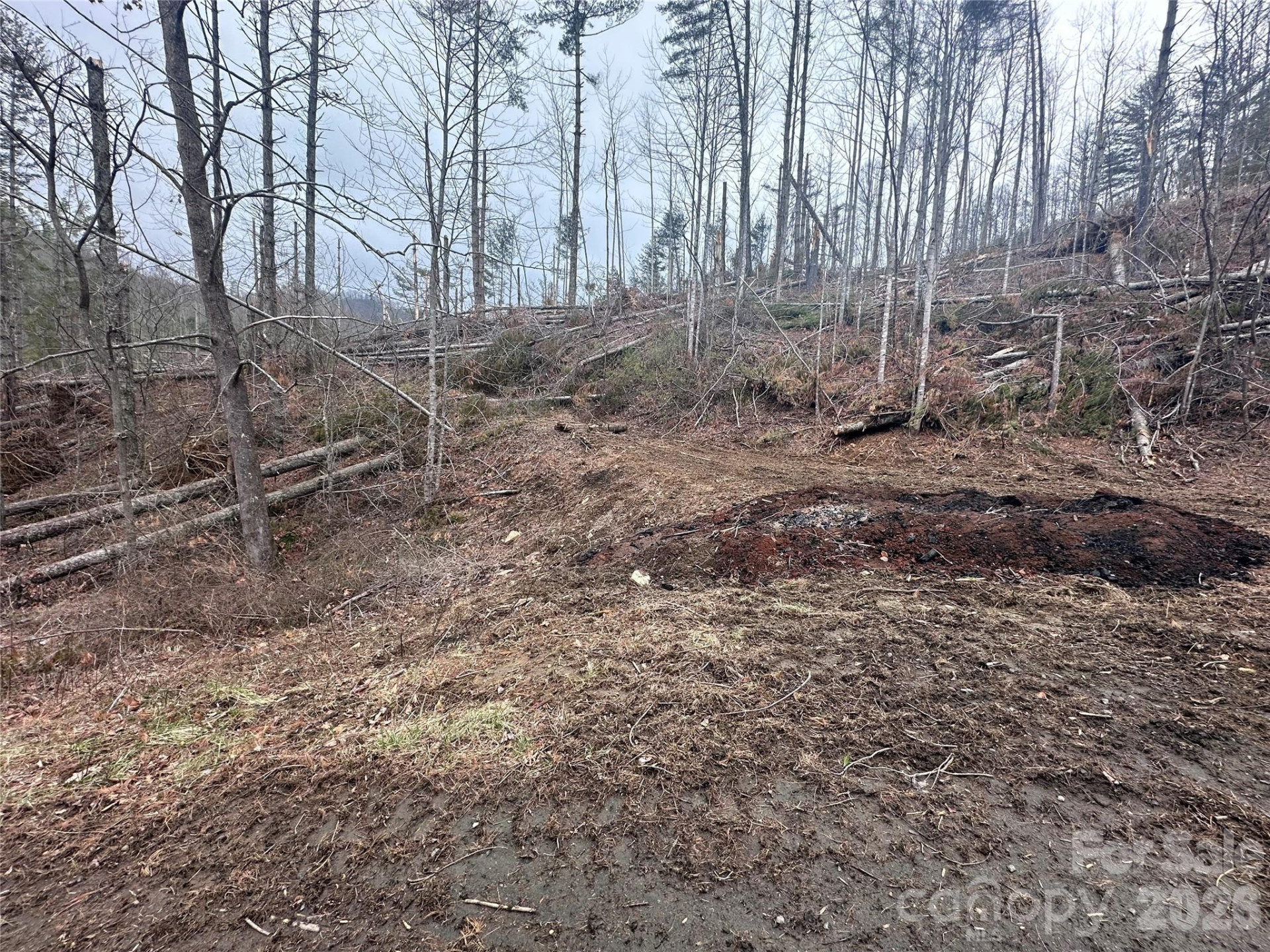 99999 Big Rock Creek Drive - Photo 12