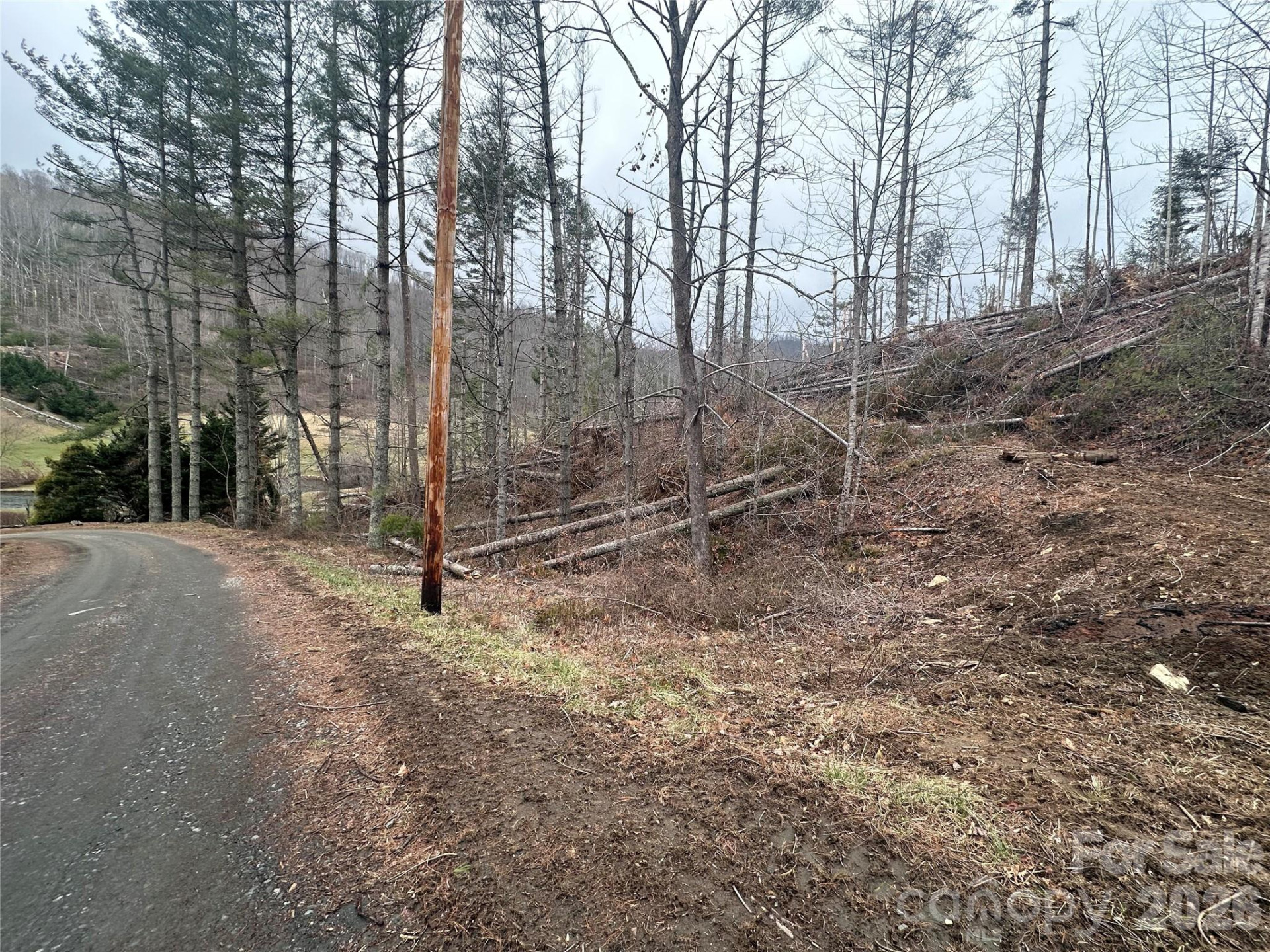 99999 Big Rock Creek Drive - Photo 13