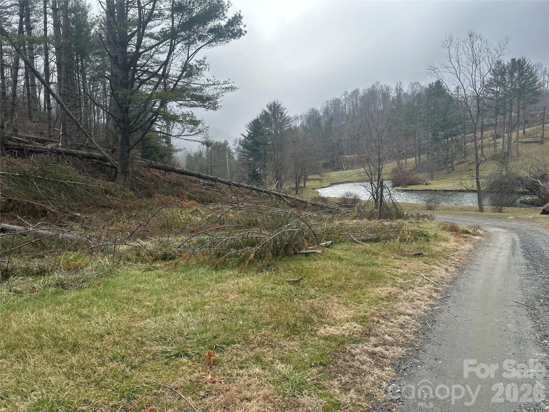 99999 Big Rock Creek Drive - Photo 17