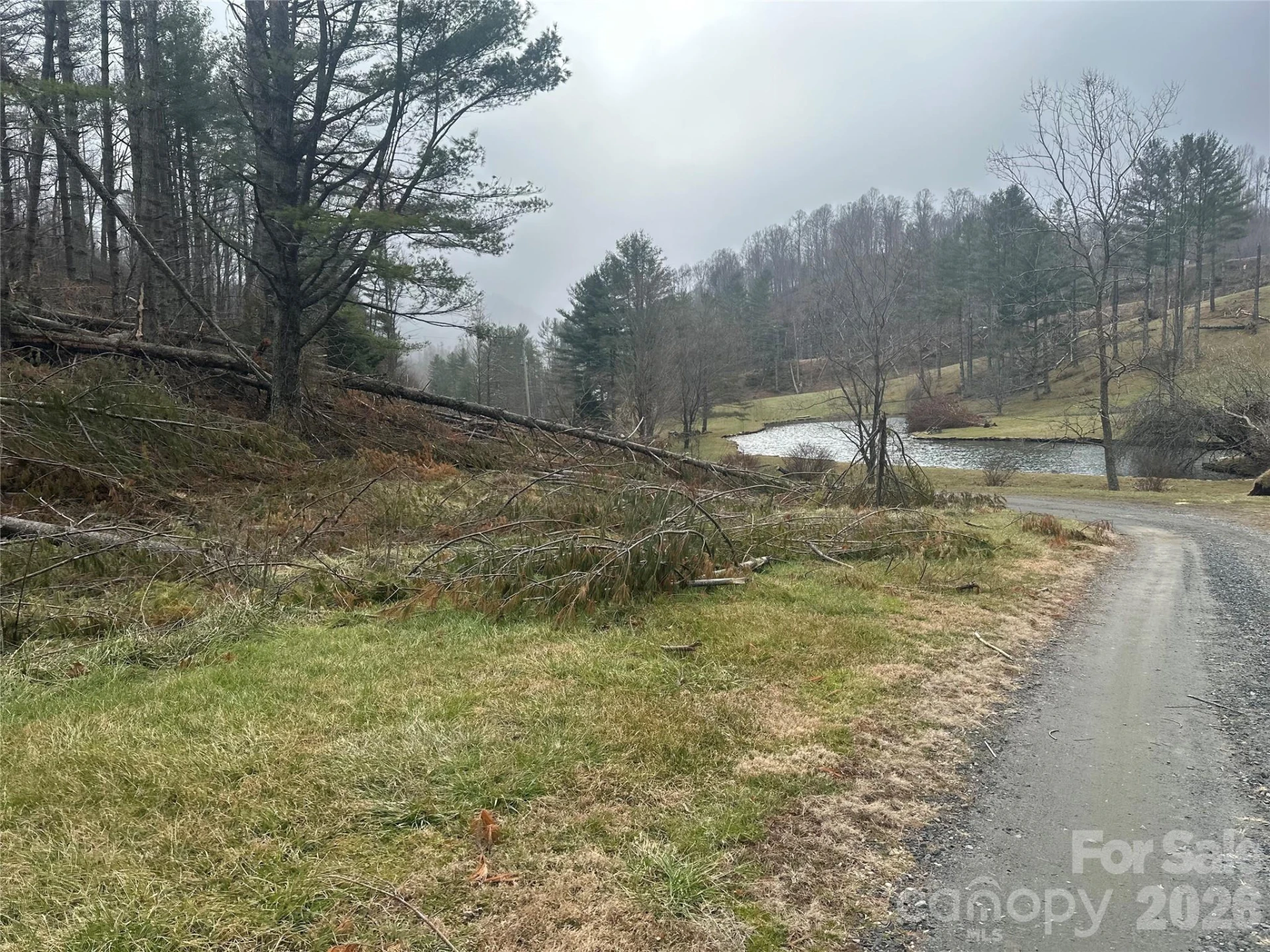 99999 Big Rock Creek Drive - Photo 17