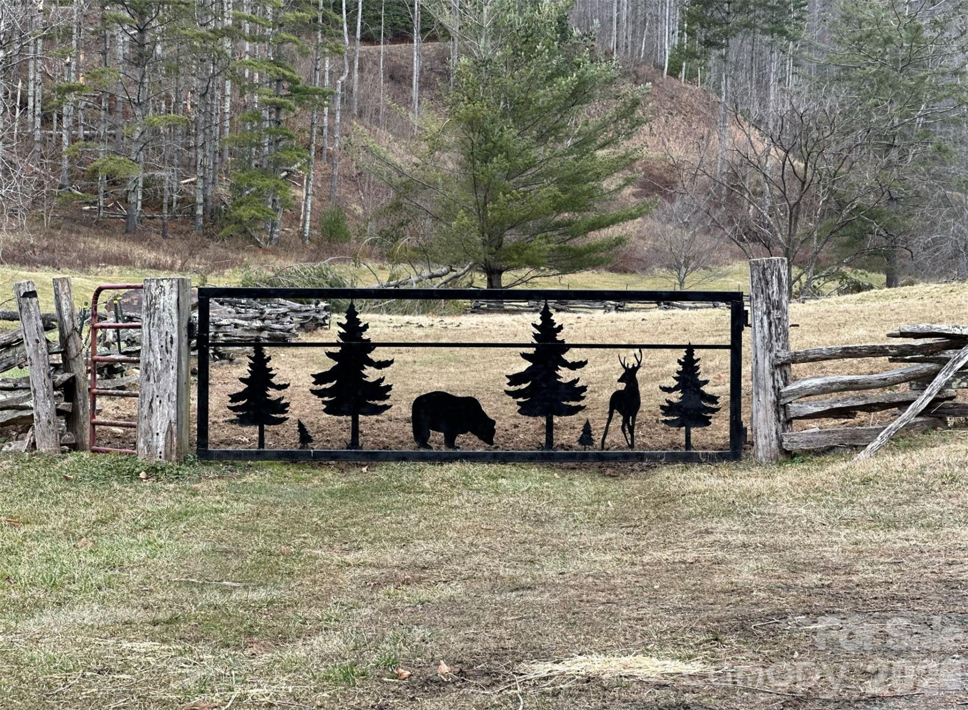 99999 Big Rock Creek Drive - Photo 18