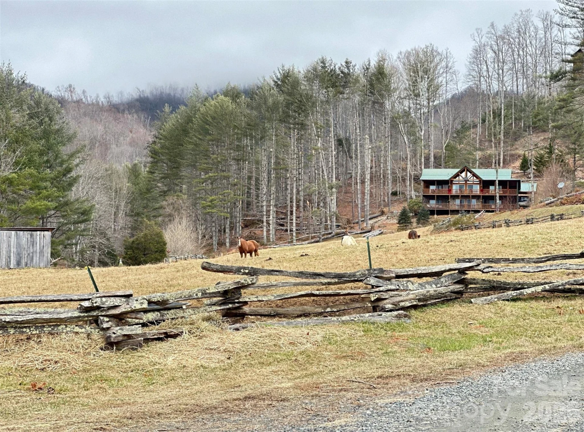 99999 Big Rock Creek Drive - Photo 19