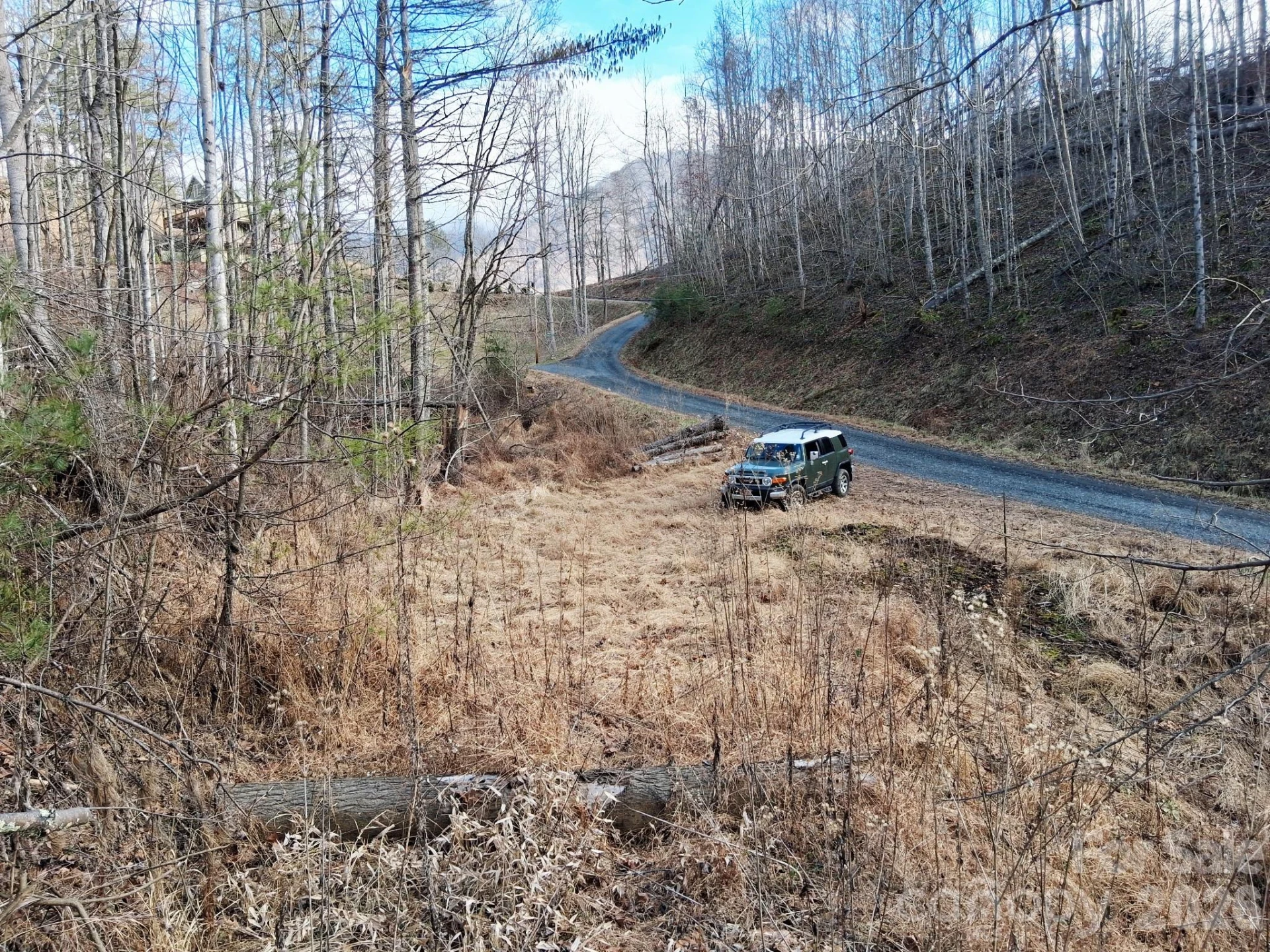 99999 Big Rock Creek Drive - Photo 3