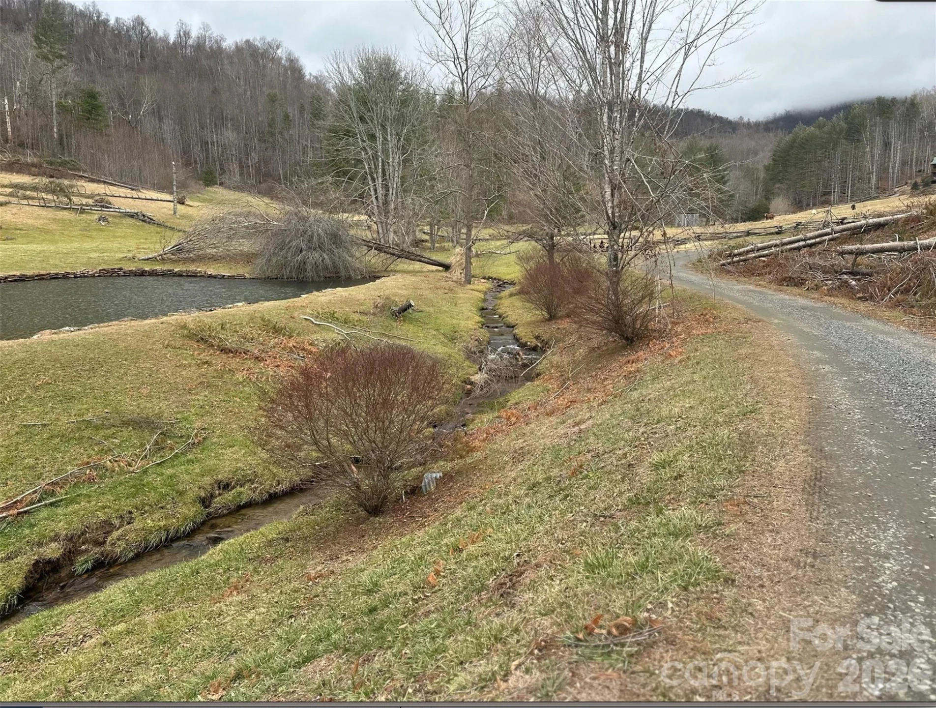 99999 Big Rock Creek Drive - Photo 21