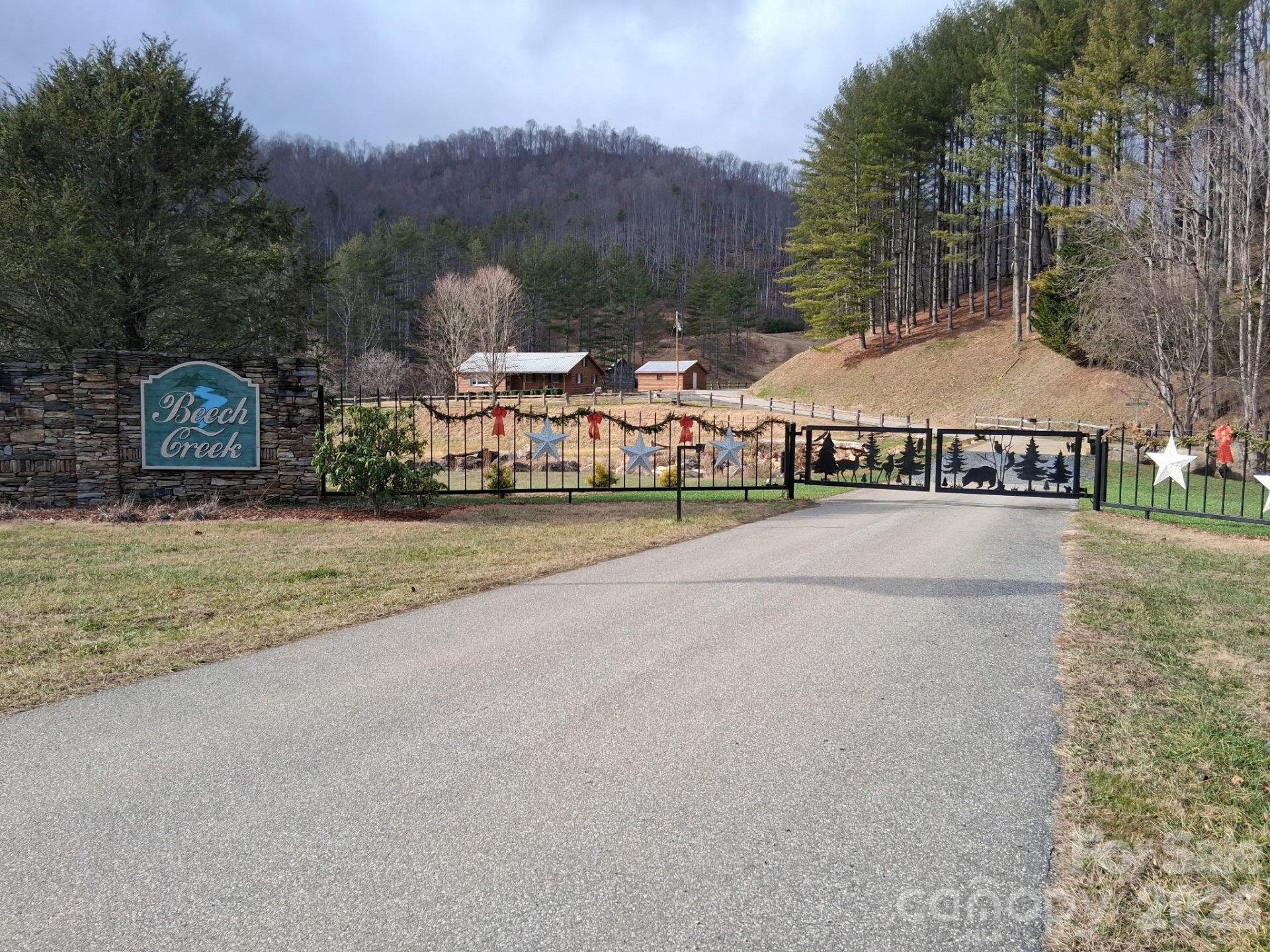 99999 Big Rock Creek Drive - Photo 22