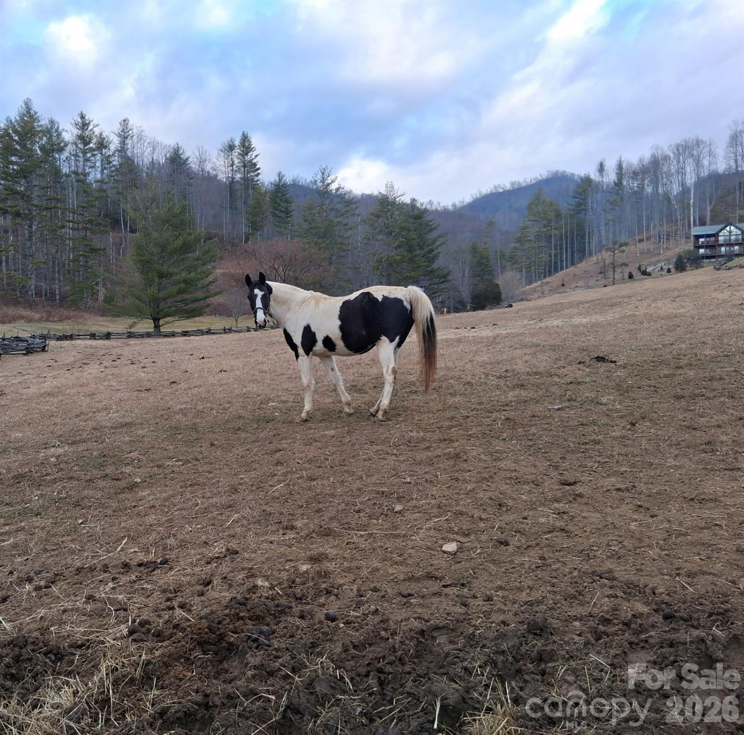 99999 Big Rock Creek Drive - Photo 23