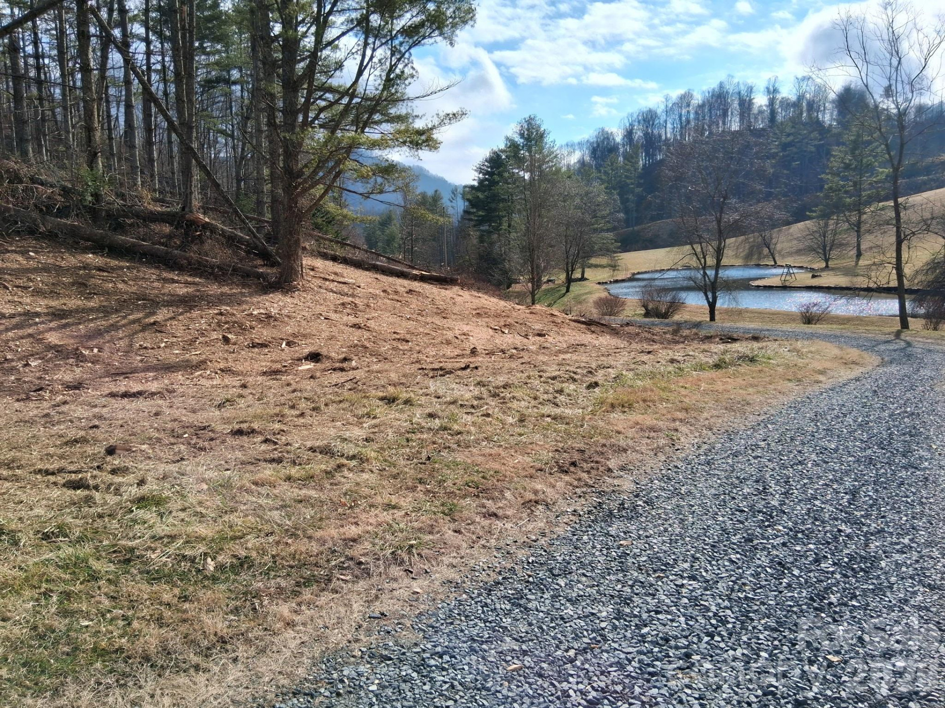 99999 Big Rock Creek Drive - Photo 4