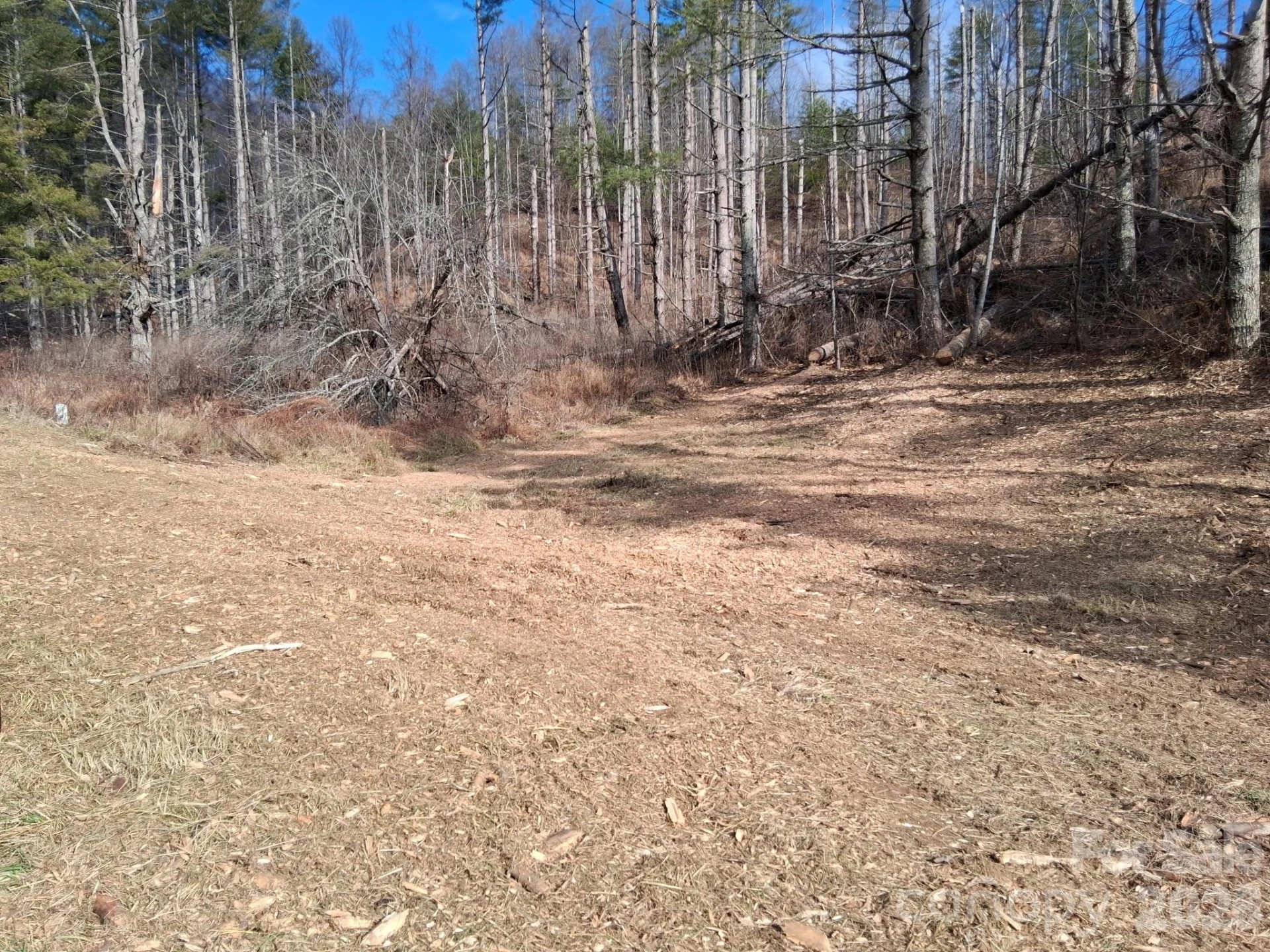 99999 Big Rock Creek Drive - Photo 5